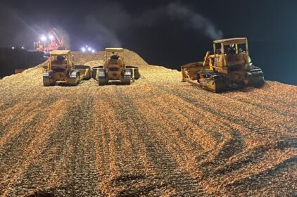 Exporting the first ship of wood chips in the second quarter of 2024