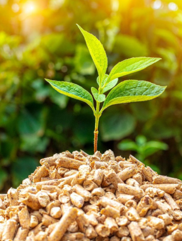 Ngành Năng Lượng (Biomass)